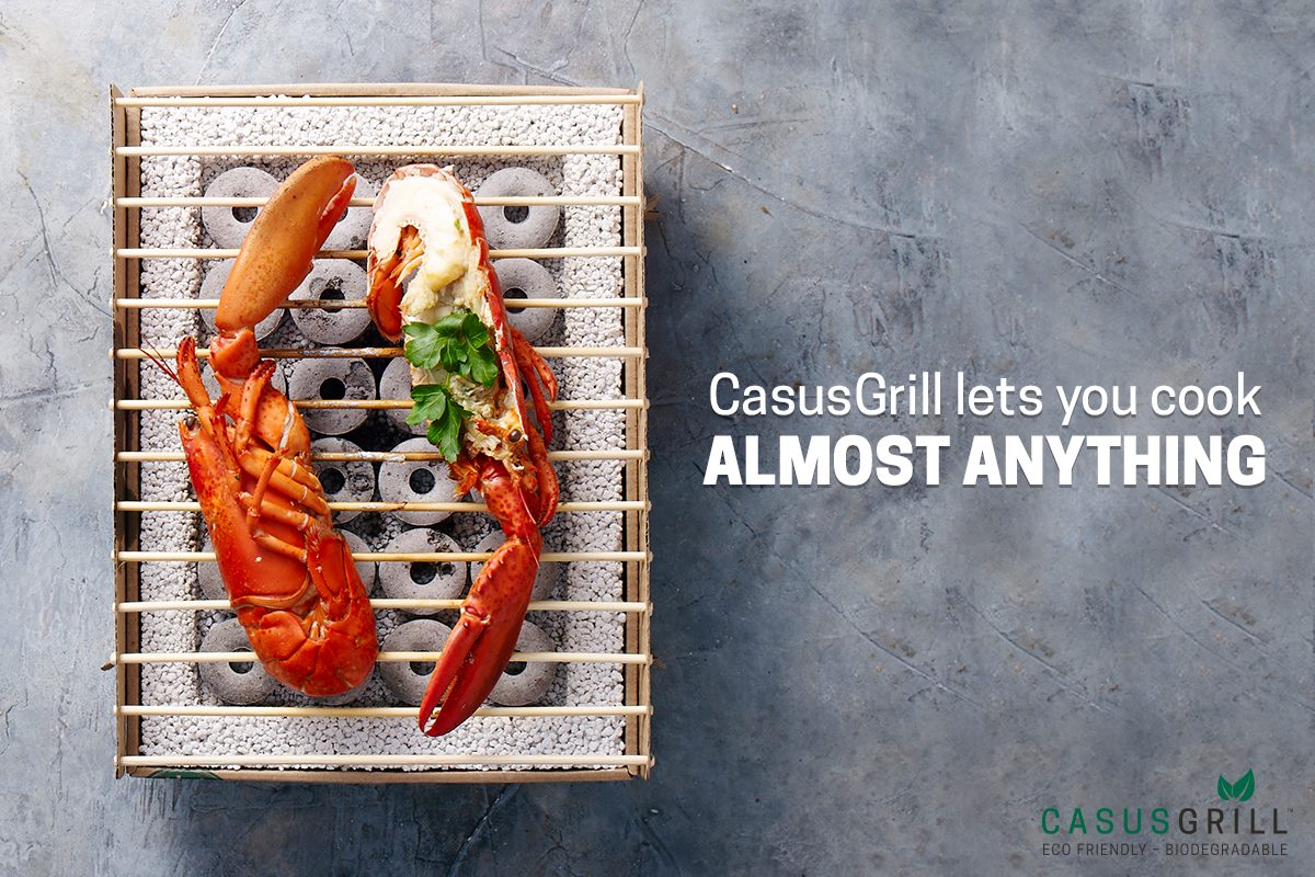 sustainable product on the market: CasusGrill the bbq grill
